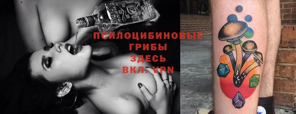 ПСИЛОЦИБИНОВЫЕ ГРИБЫ Магас