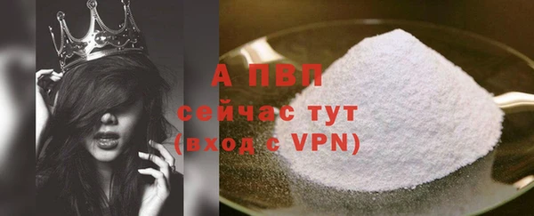 ПСИЛОЦИБИНОВЫЕ ГРИБЫ Магас