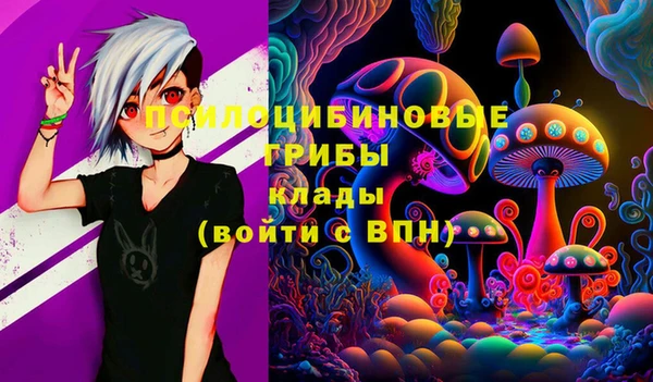 ПСИЛОЦИБИНОВЫЕ ГРИБЫ Магас